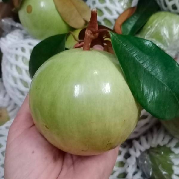 (HỘ KINH DOANH) NGUYỄN VĂN BEO